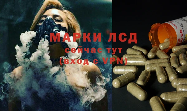 шишки Баксан