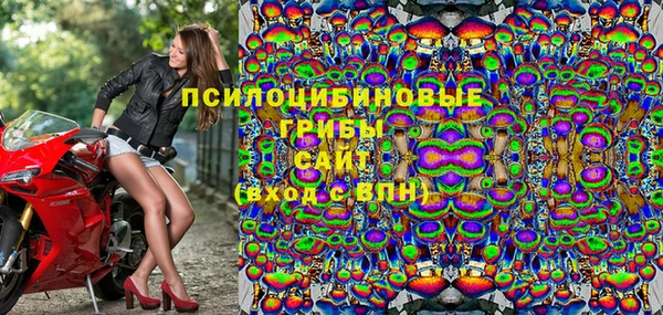 шишки Баксан