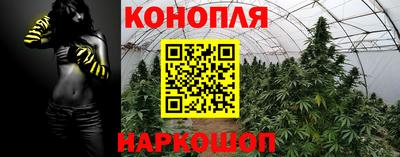 винт Славгород