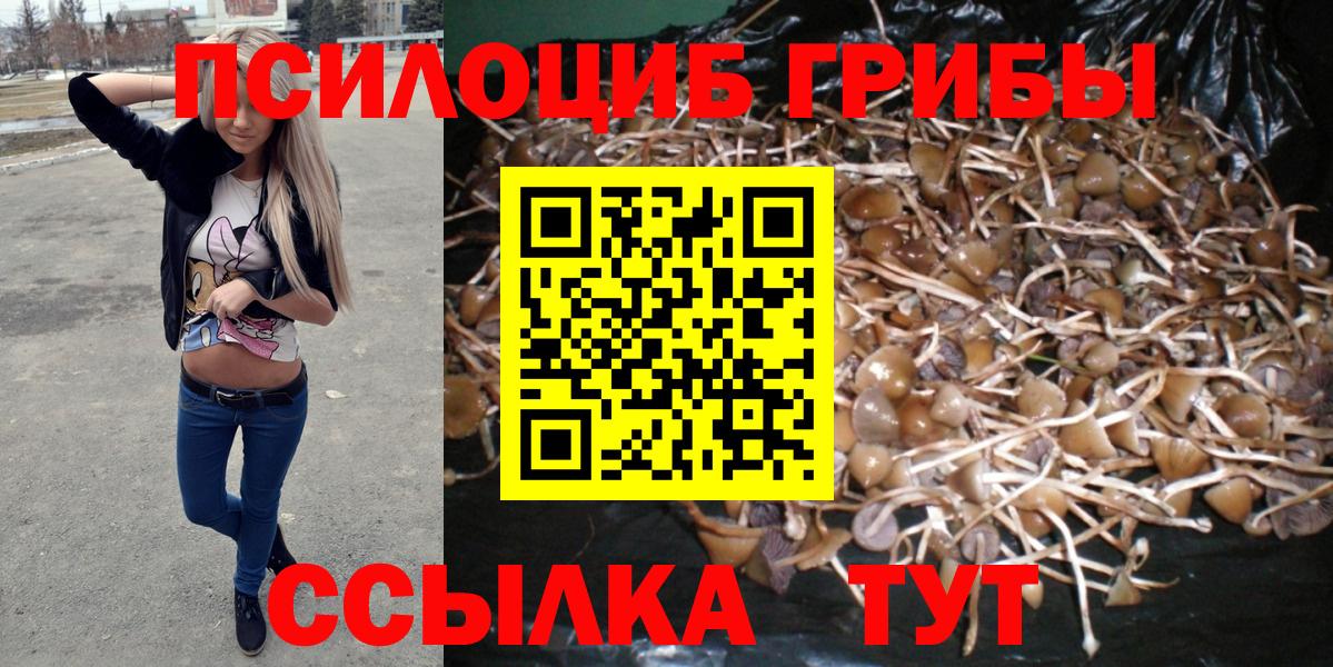 Галлюциногенные грибы мицелий Семилуки